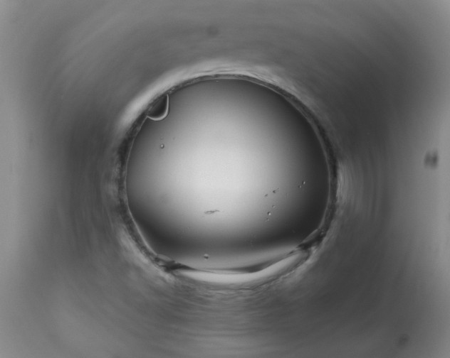 X0000113571502200910021617