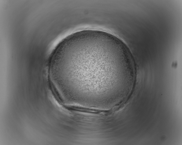 X0000113571503200910021617