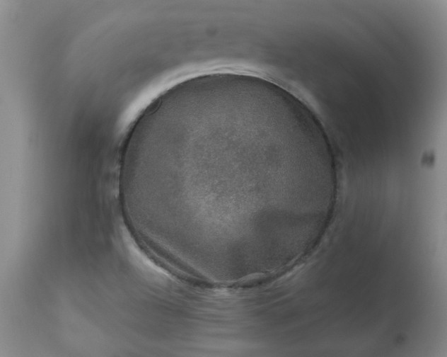 X0000113571504200910021617