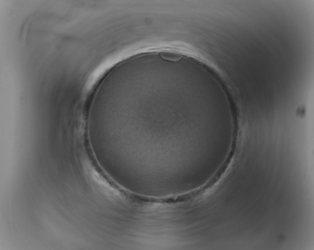 X0000113571506200910021617