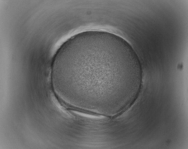 X0000113571507200910021617