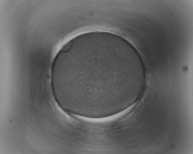 X0000113571508200910021617