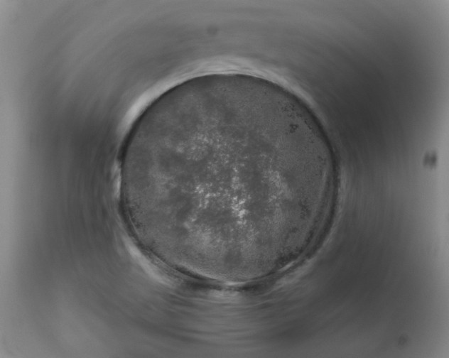 X0000113571509200910021617
