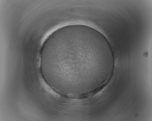 X0000113571510200910021617