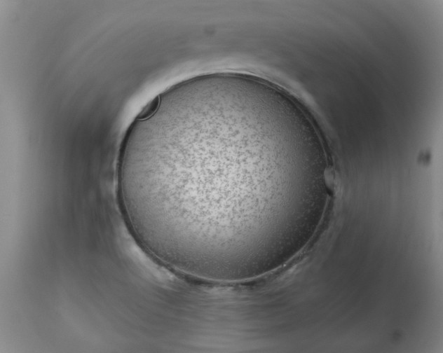 X0000113571512200910021617