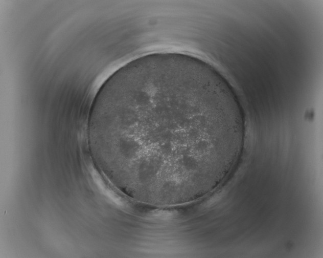 X0000113571513200910021617