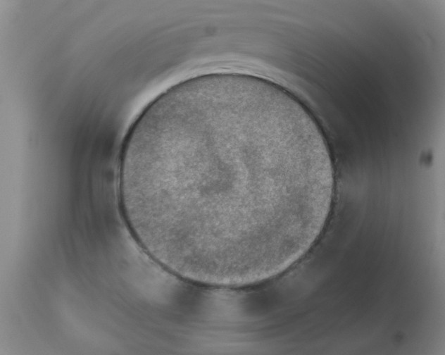 X0000113571514200910021618