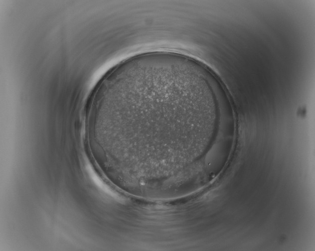 X0000113571515200910021618