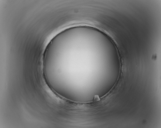 X0000113571516200910021618