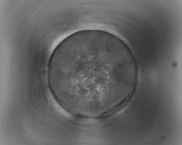 X0000113571517200910021618