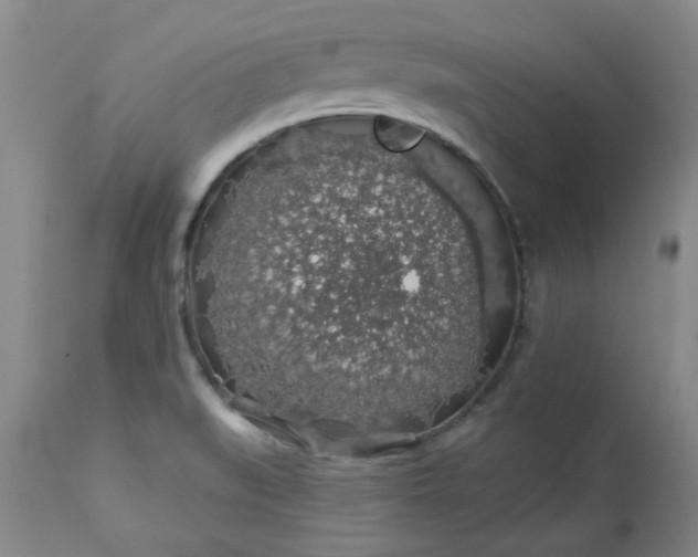 X0000113571519200910021618