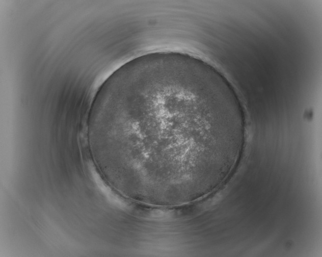 X0000113571521200910021618