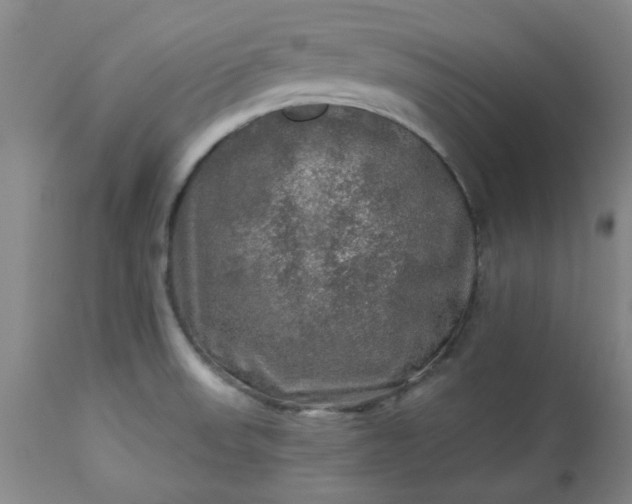 X0000113571523200910021618
