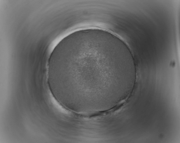 X0000113571524200910021618