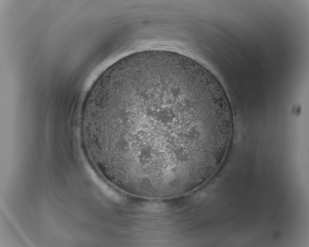 X0000113571525200910021618