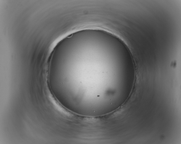 X0000113571526200910021618