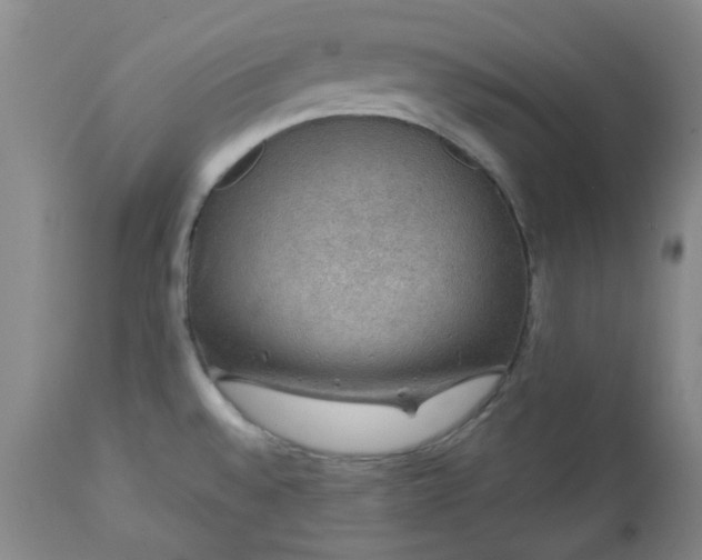 X0000113571528200910021618