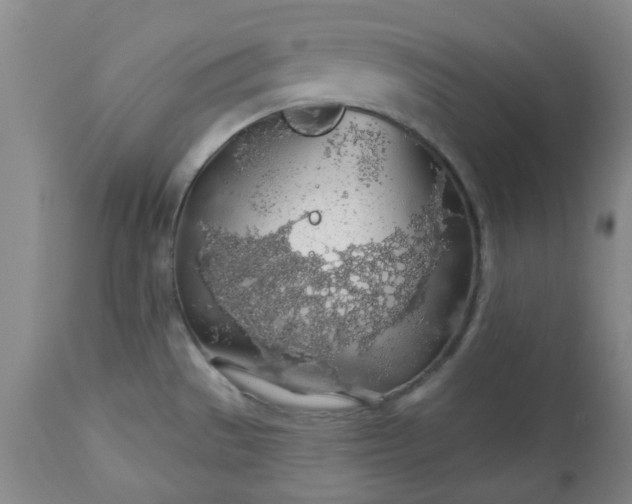 X0000113571529200910021618