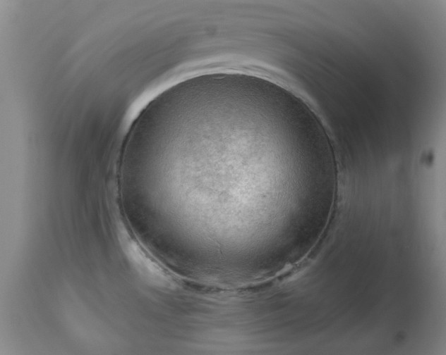 X0000113571530200910021618
