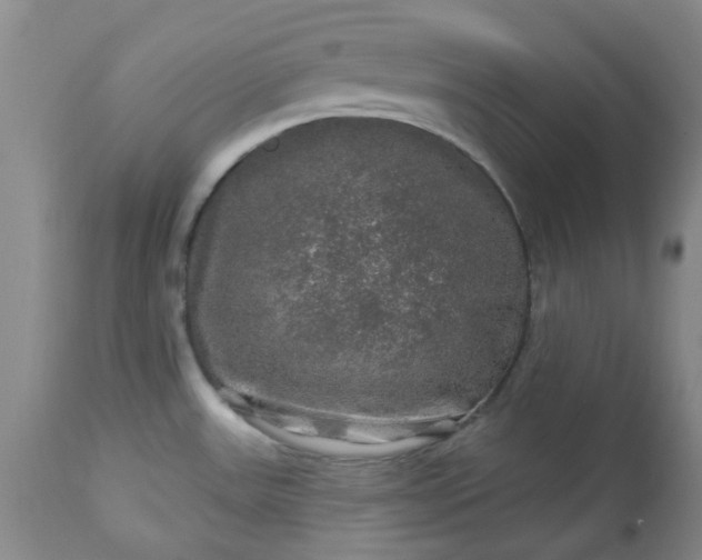 X0000113571531200910021618