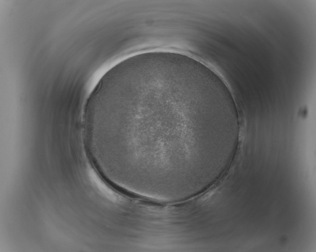X0000113571532200910021618