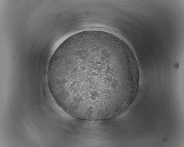 X0000113571533200910021618