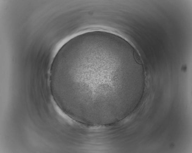 X0000113571535200910021618