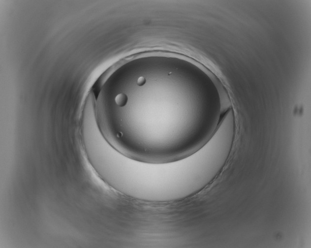 X0000113571536200910021618
