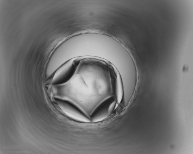 X0000113570001200910091450