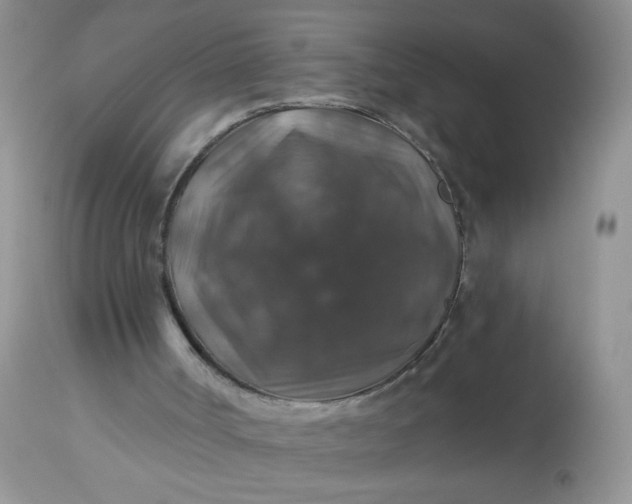 X0000113570002200910091449