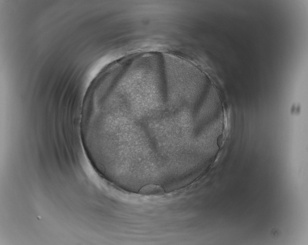 X0000113570003200910091449