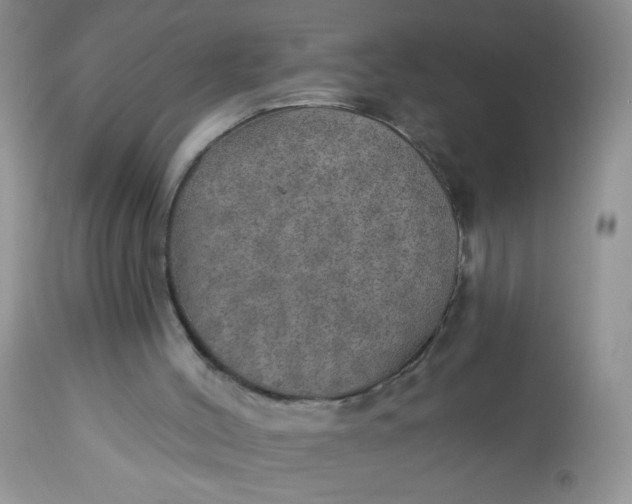 X0000113570004200910091449