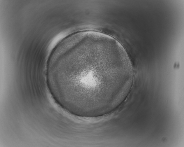 X0000113570006200910091449