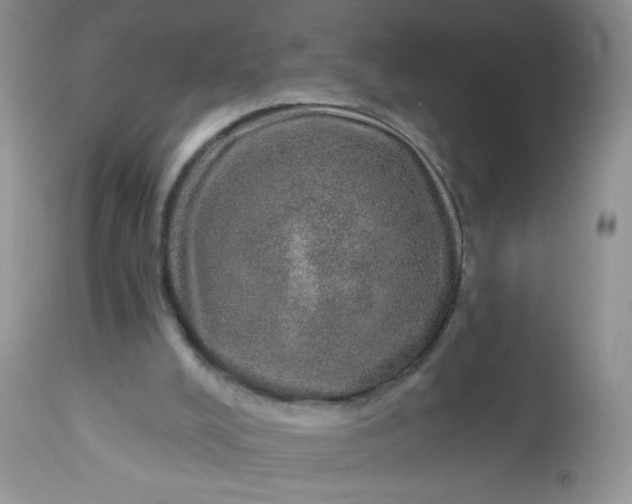 X0000113570008200910091449