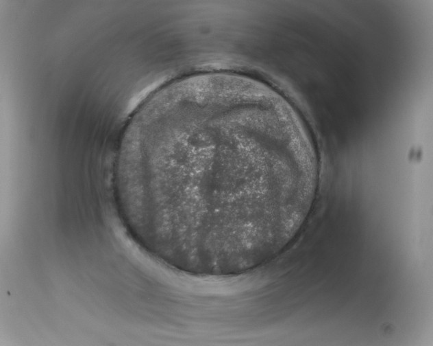 X0000113570010200910091449