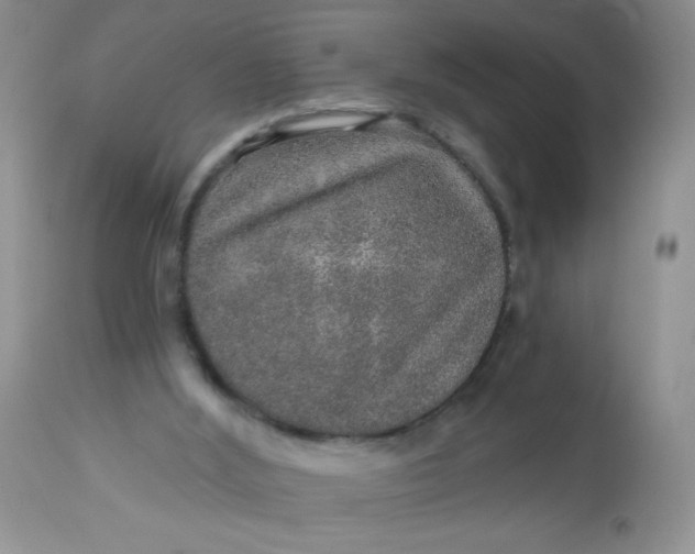 X0000113570012200910091449