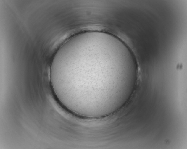 X0000113570013200910091449