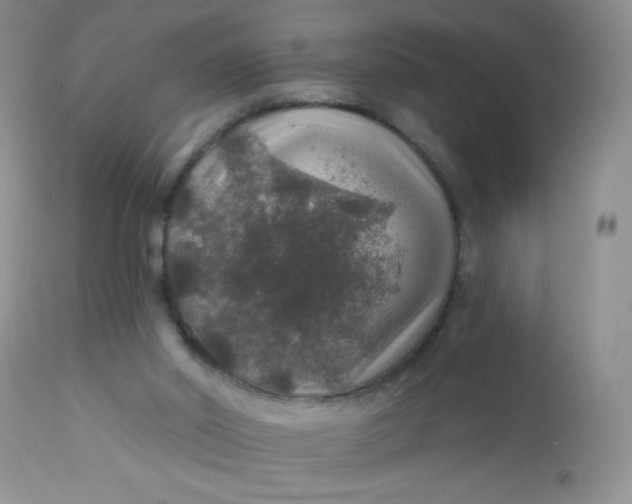 X0000113570014200910091449