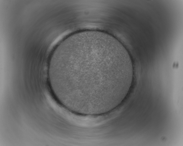 X0000113570016200910091449