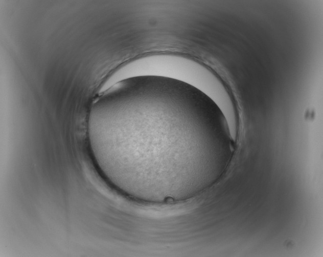 X0000113570017200910091449