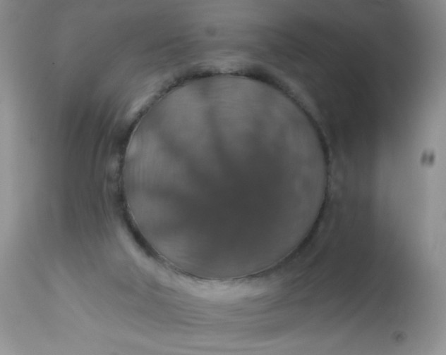 X0000113570018200910091449