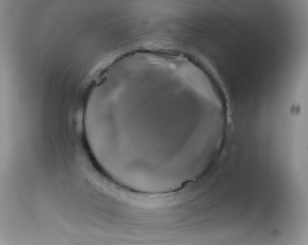 X0000113570019200910091449