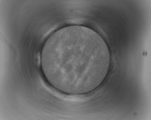 X0000113570020200910091449