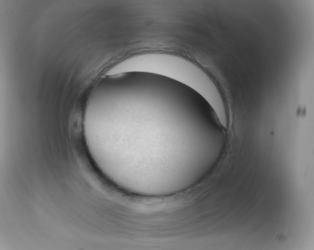 X0000113570021200910091449