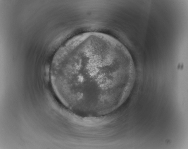 X0000113570022200910091449