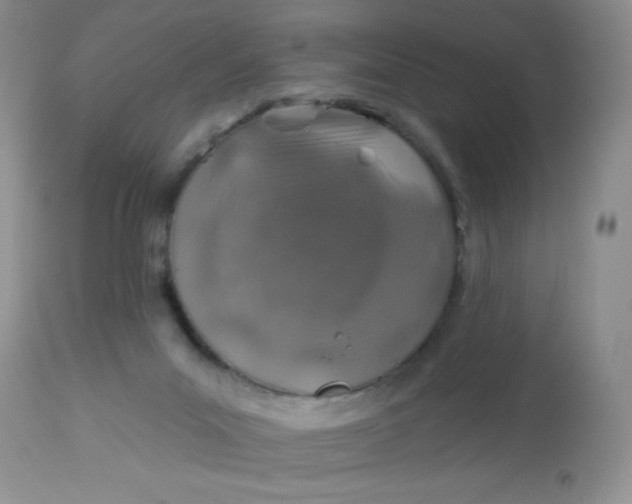 X0000113570023200910091449