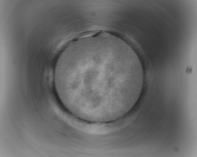 X0000113570024200910091449