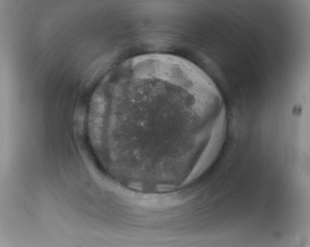 X0000113570026200910091449