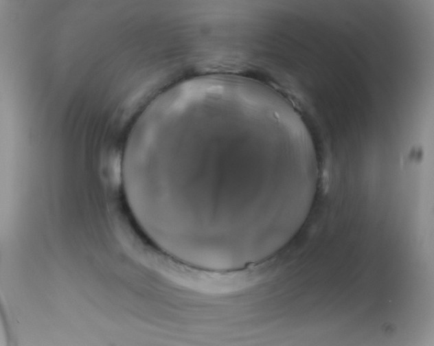 X0000113570027200910091449