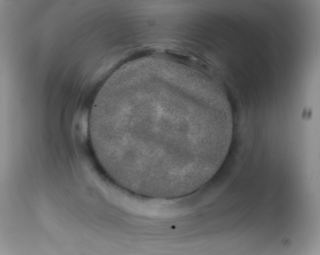 X0000113570028200910091449